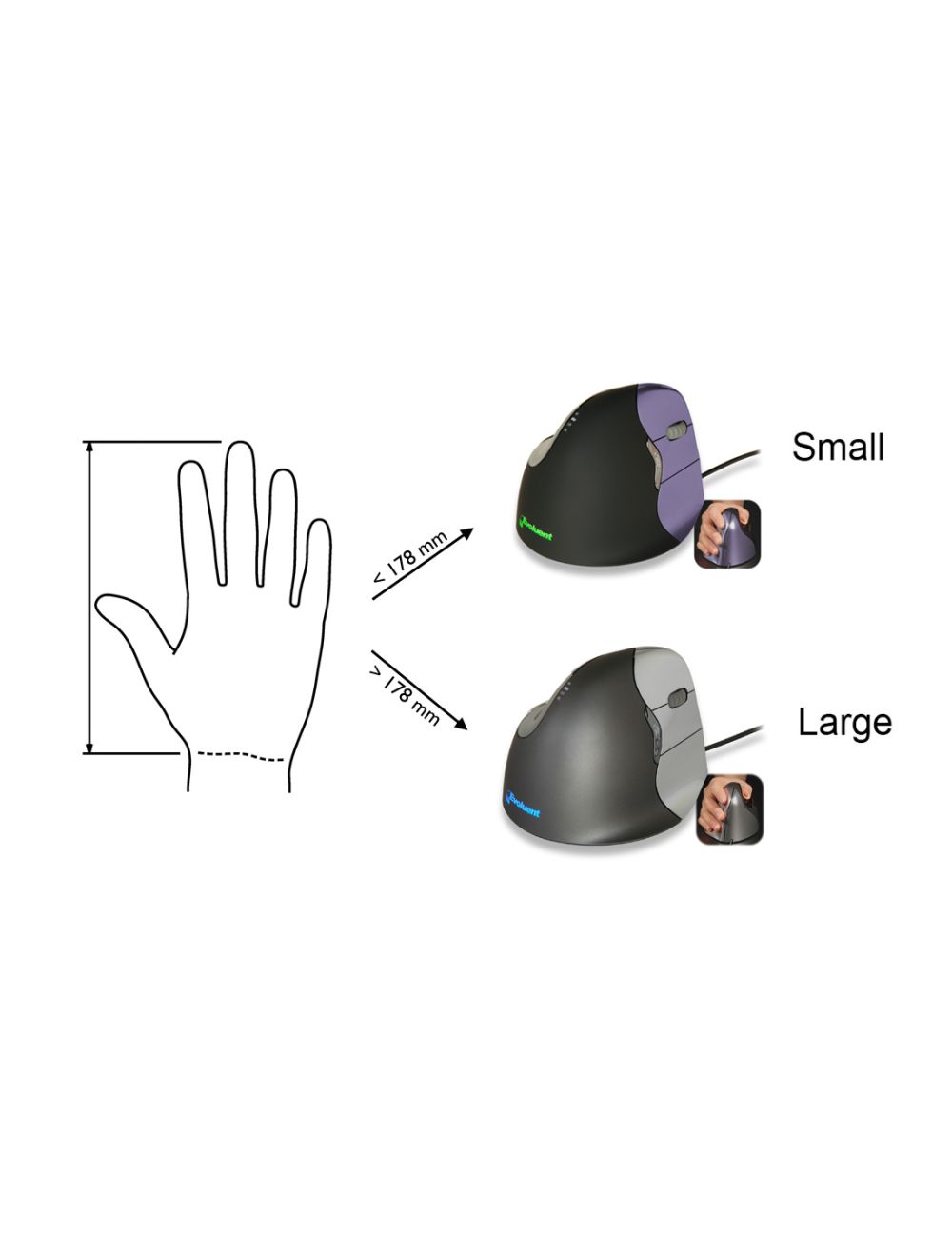 Dimensions and sizes